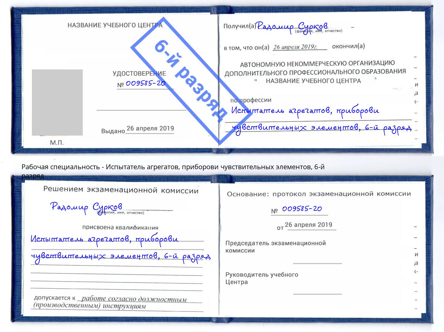 корочка 6-й разряд Испытатель агрегатов, приборови чувствительных элементов Шахты