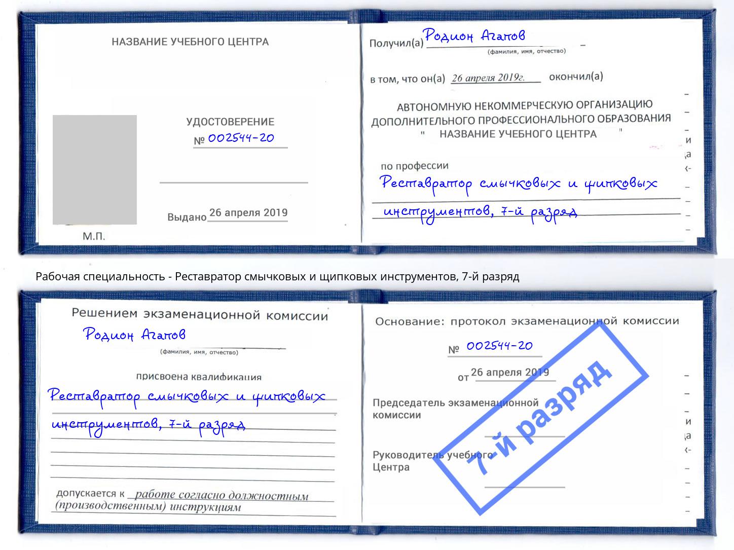 корочка 7-й разряд Реставратор смычковых и щипковых инструментов Шахты