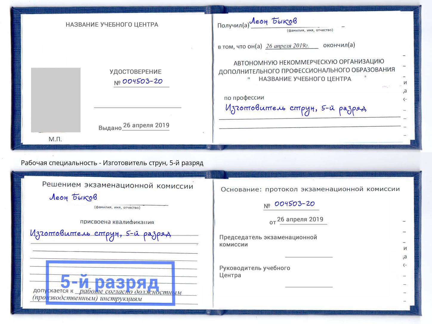 корочка 5-й разряд Изготовитель струн Шахты