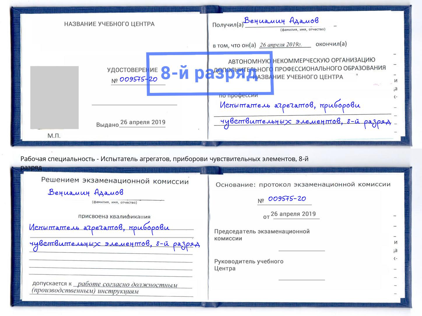 корочка 8-й разряд Испытатель агрегатов, приборови чувствительных элементов Шахты